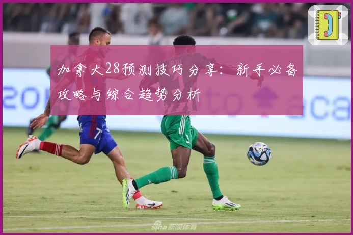 加拿大28预测技巧分享：新手必备攻略与综合趋势分析