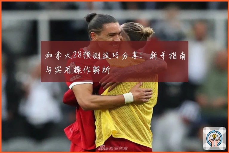 加拿大28预测技巧分享：新手指南与实用操作解析