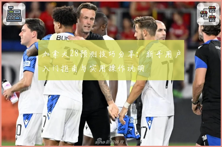 加拿大28预测技巧分享：新手用户入门指南与实用操作说明