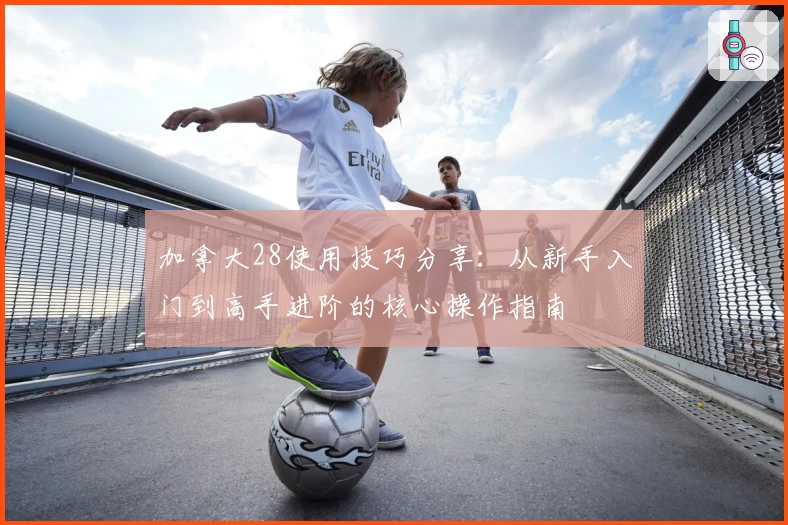 加拿大28使用技巧分享:从新手入门到高手进阶的核心操作指南