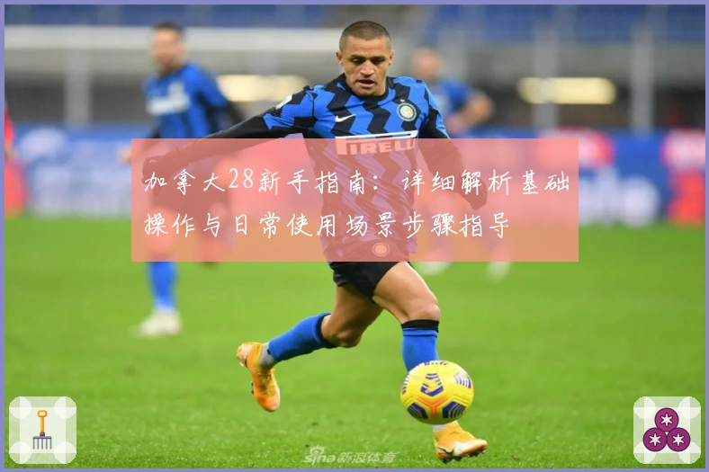 加拿大28新手指南：详细解析基础操作与日常使用场景步骤指导