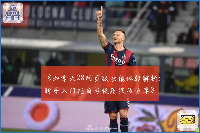 《加拿大28网页版功能体验解析：新手入门指南与使用技巧分享》