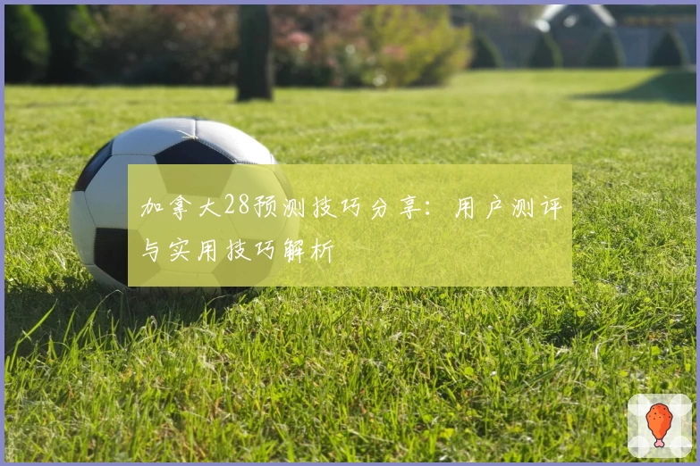 加拿大28预测技巧分享：用户测评与实用技巧解析
