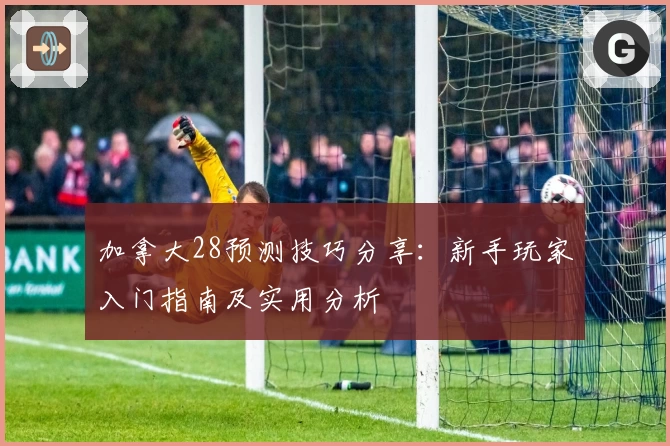 加拿大28预测技巧分享:新手玩家入门指南及实用分析