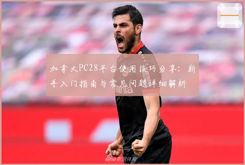 加拿大PC28平台使用技巧分享：新手入门指南与常见问题详细解析