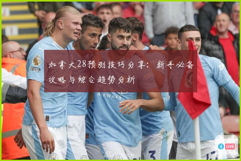 加拿大28预测技巧分享：新手必备攻略与综合趋势分析