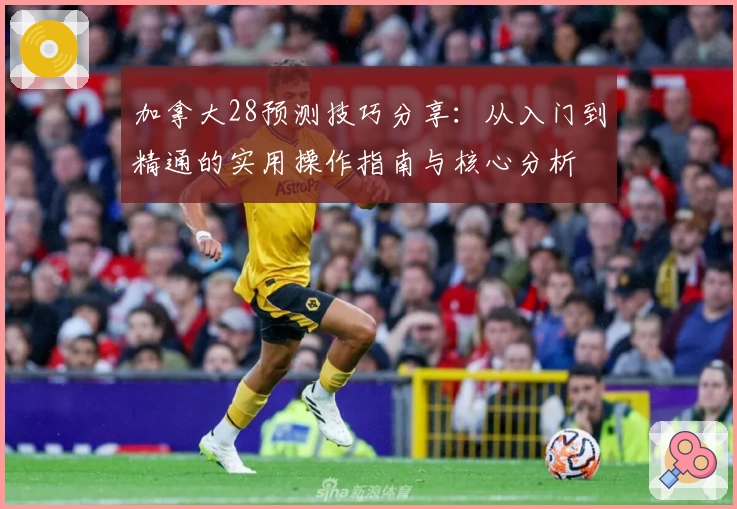 加拿大28预测技巧分享：从入门到精通的实用操作指南与核心分析