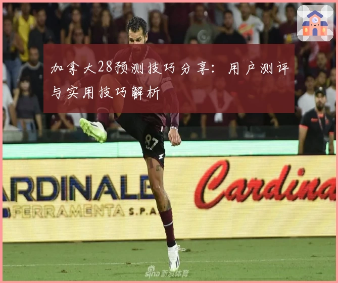 加拿大28预测技巧分享:用户测评与实用技巧解析