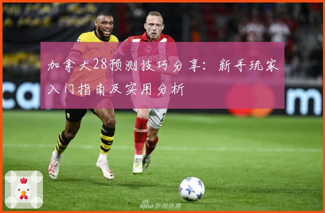 加拿大28预测技巧分享：新手玩家入门指南及实用分析