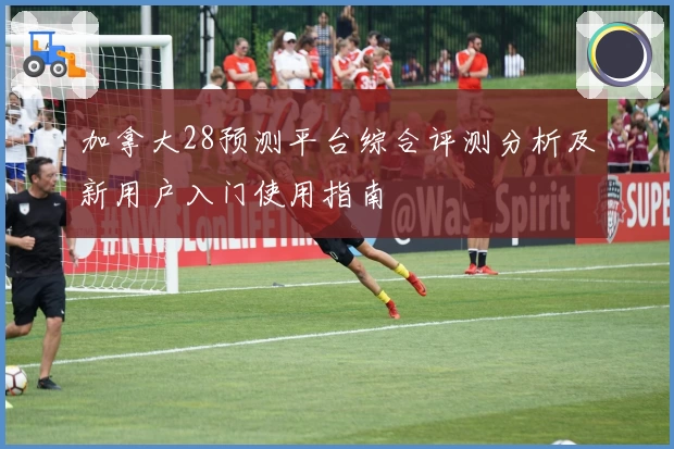 加拿大28预测平台综合评测分析及新用户入门使用指南