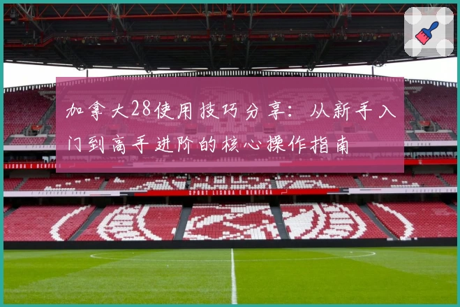 加拿大28使用技巧分享：从新手入门到高手进阶的核心操作指南