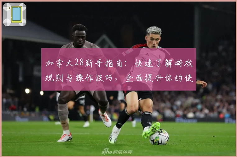 加拿大28新手指南：快速了解游戏规则与操作技巧，全面提升你的使用体验